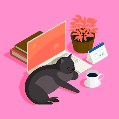 Infectious Disease Specialist Consultation